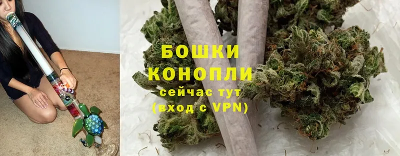 Канабис THC 21%  где купить   Красногорск 